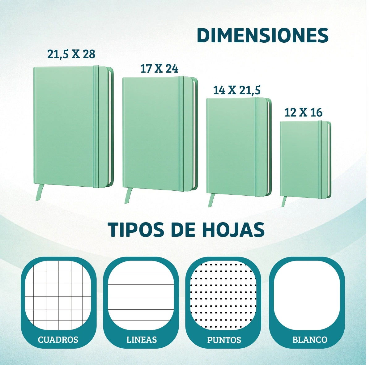 dimensiones y tipos de hojas